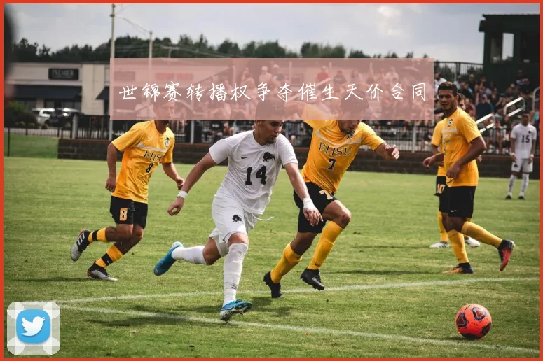 世锦赛转播权争夺催生天价合同