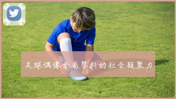 足球偶像舍甫琴科的社会凝聚力