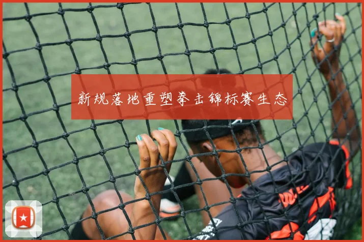新规落地重塑拳击锦标赛生态