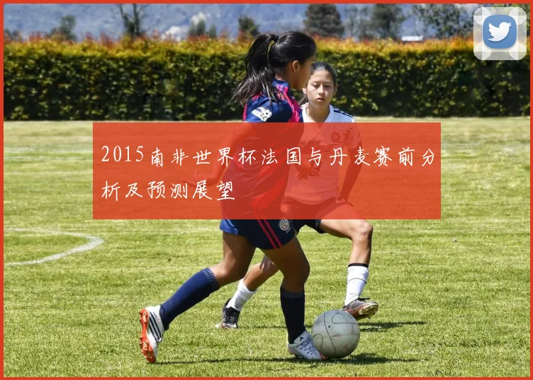 2015南非世界杯法国与丹麦赛前分析及预测展望
