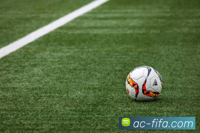 世界杯FIFA平台生态图