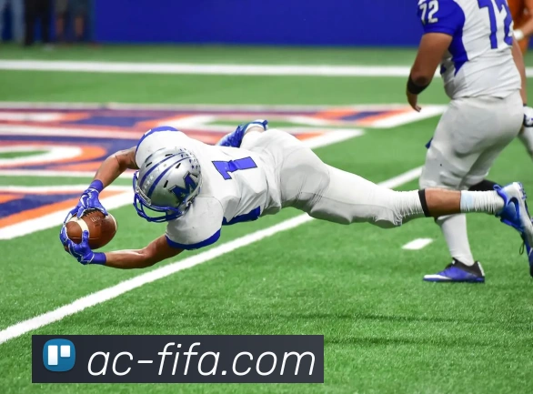 世界杯FIFA全站App